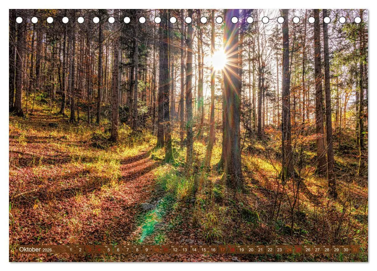Bild: 9783457490655 | Idyllische Landschaften am Tegernsee (Tischkalender 2026 DIN A5...