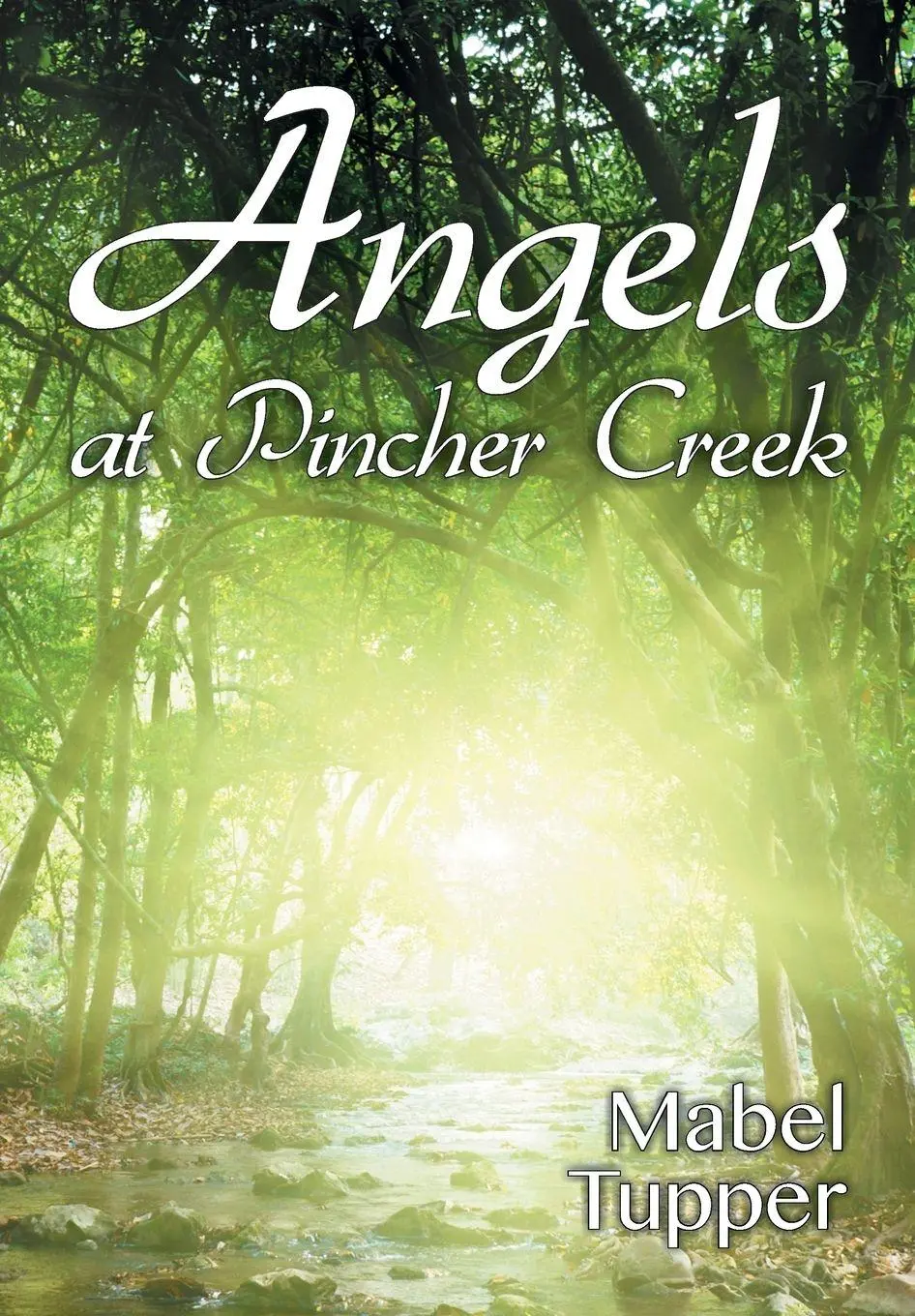 Cover: 9781479600755 | Angels at Pincher Creek | Mabel Tupper | Taschenbuch | Englisch | 2014