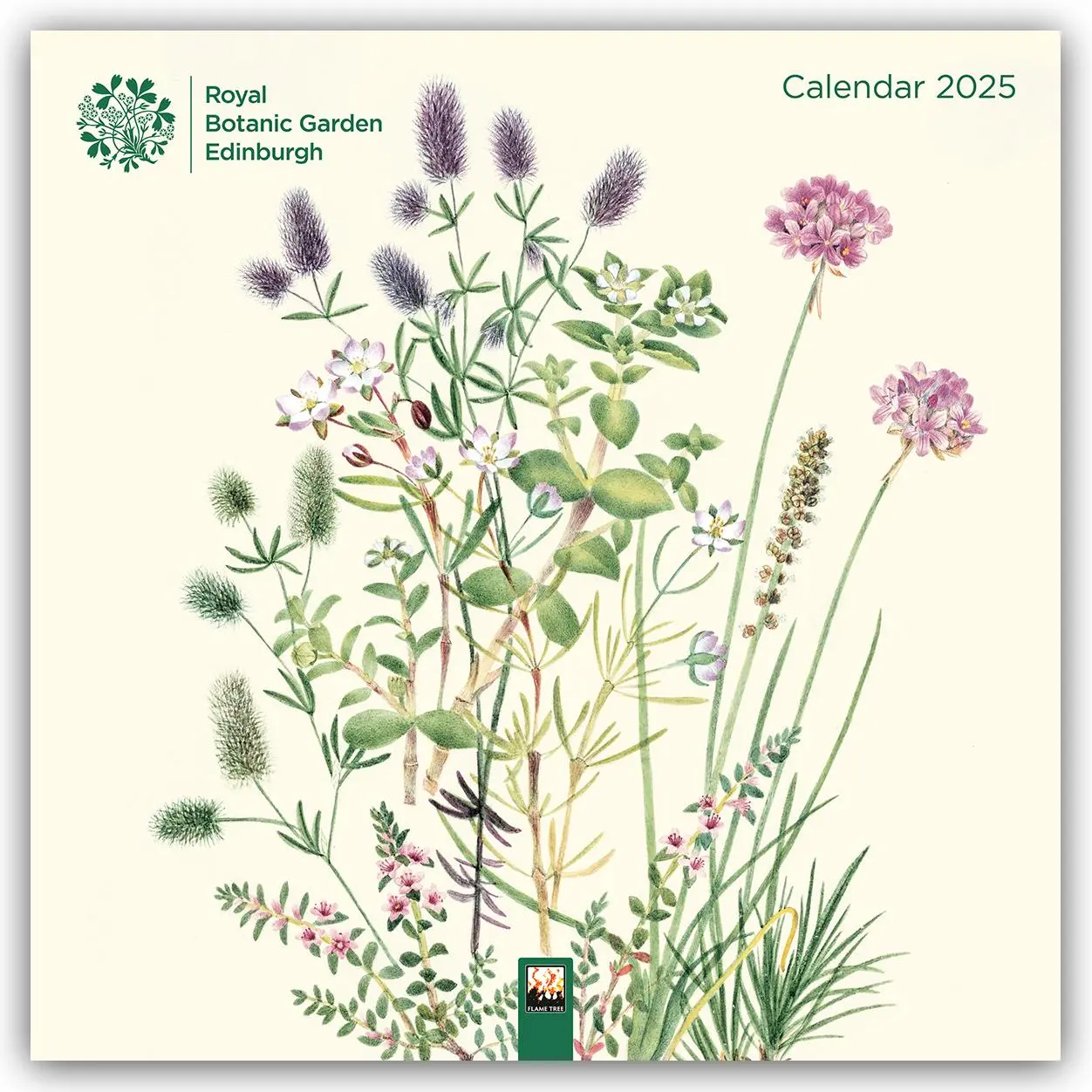 Cover: 9781835620755 | Royal Botanic Garden Edinburgh Wall Calendar 2025 (Art Calendar)
