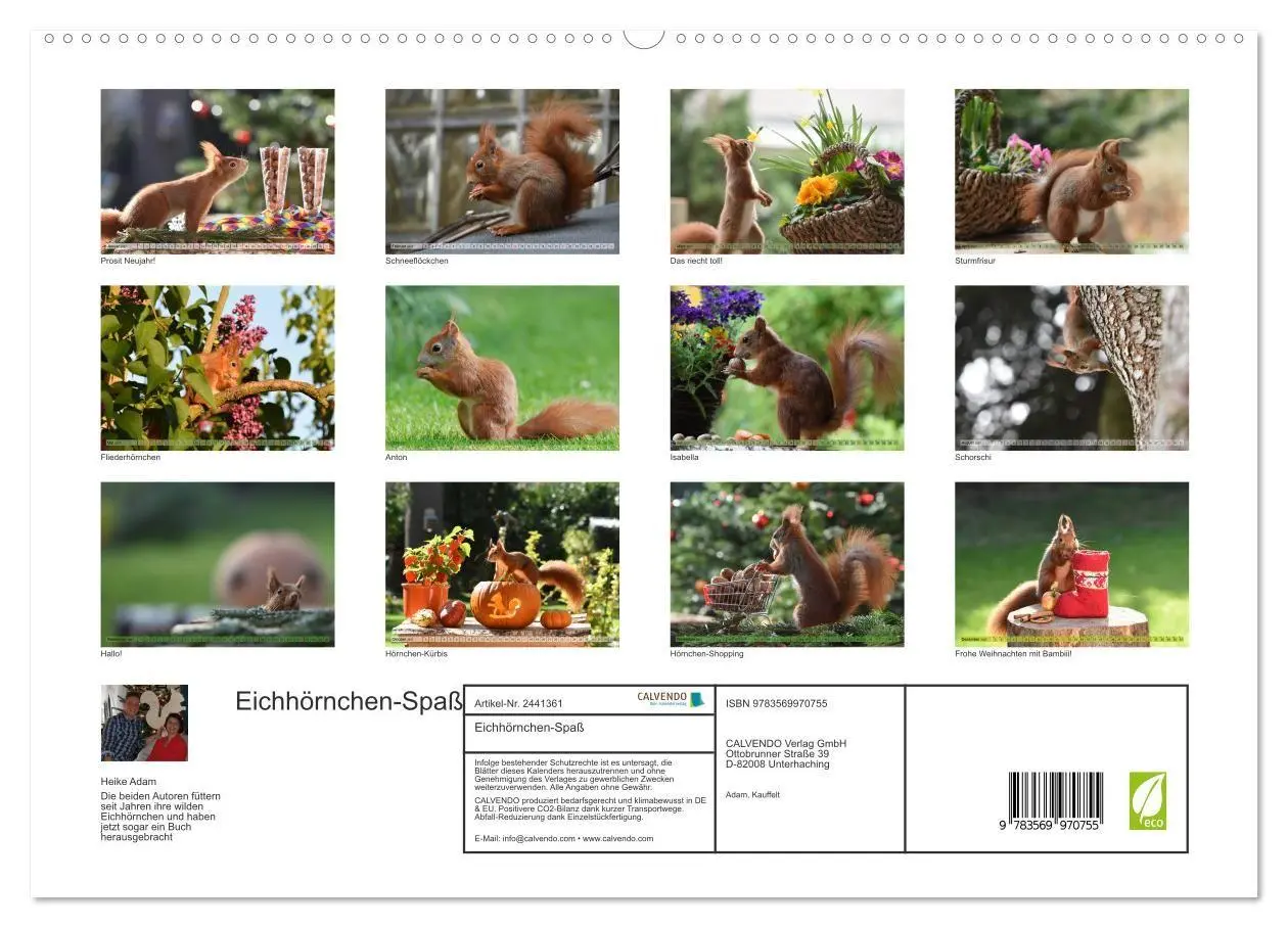 Bild: 9783569970755 | Eichhörnchen-Spaß (hochwertiger Premium Wandkalender 2027 DIN A2...
