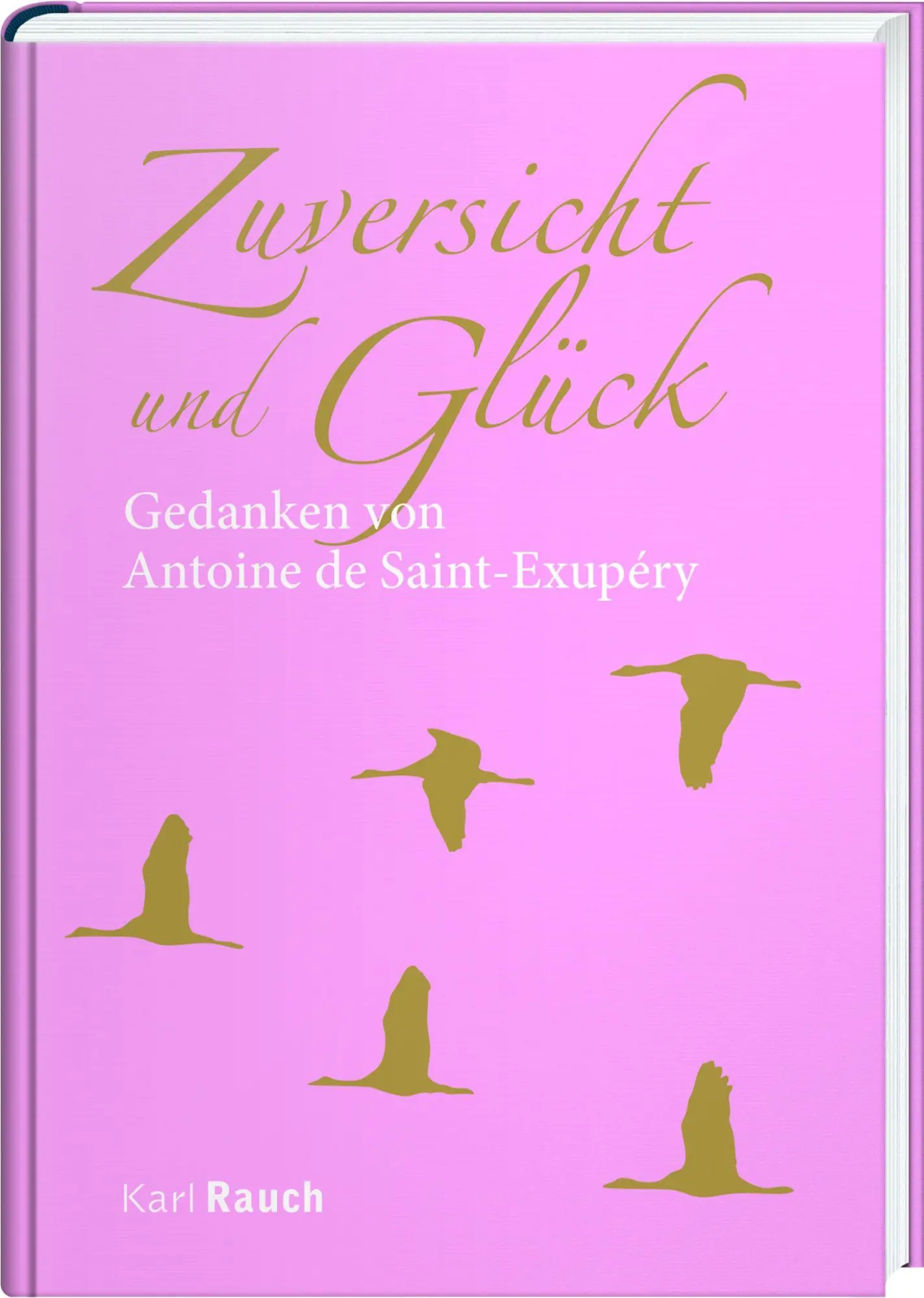 Cover: 9783792000755 | Zuversicht und Glück | Zitate von Antoine de Saint-Exupéry | Buch