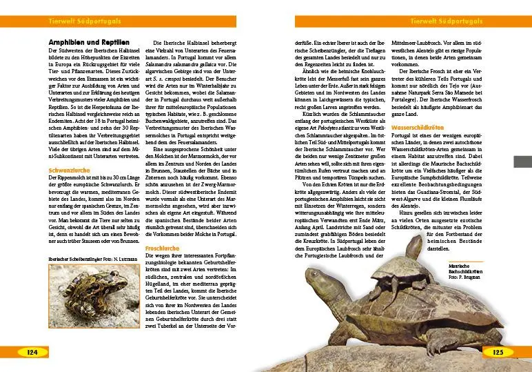 Bild: 9783866590755 | Naturreiseführer Costa Rica | Wolfgang Denzer (u. a.) | Taschenbuch