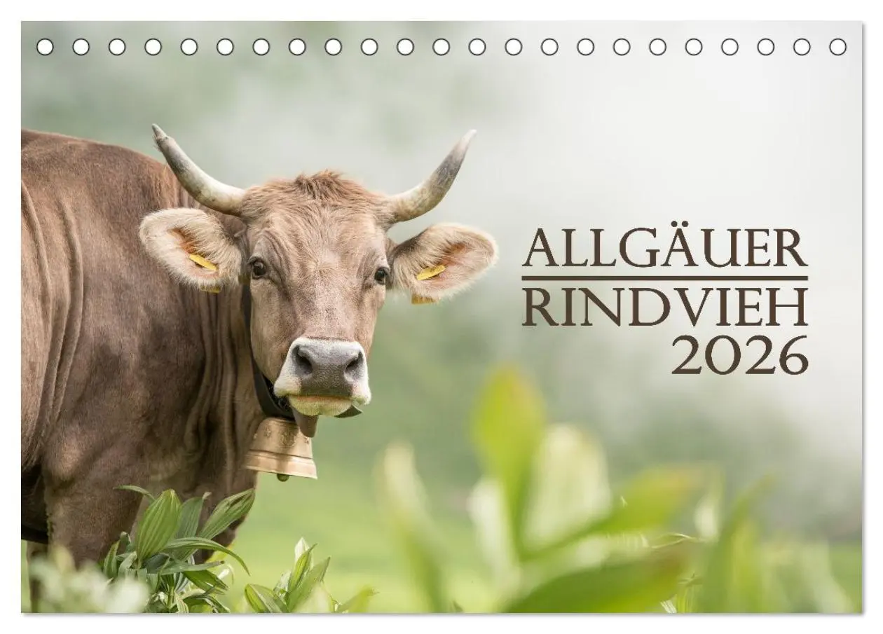 Cover: 9783457300855 | Allgäuer Rindvieh 2026 (Tischkalender 2026 DIN A5 quer), CALVENDO...