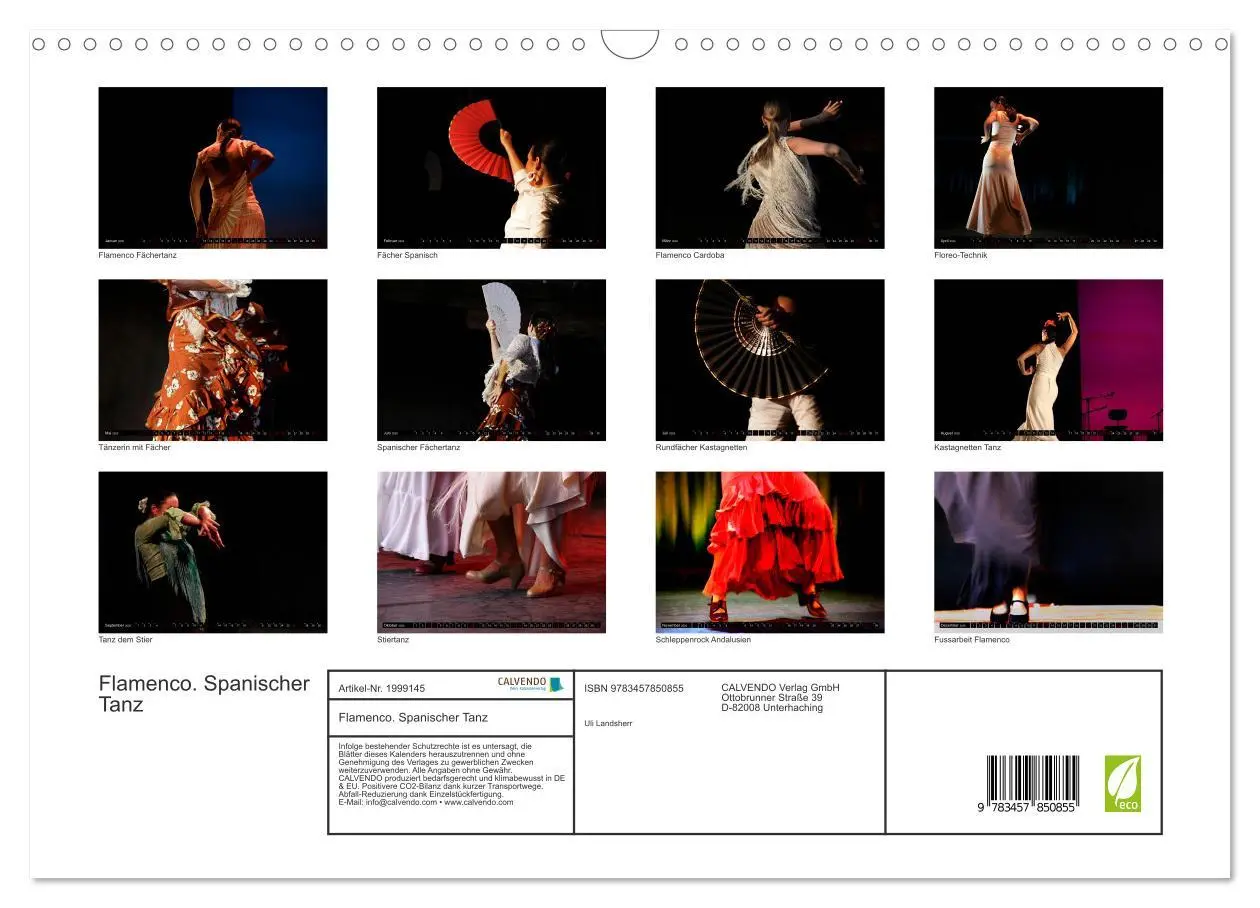 Bild: 9783457850855 | Flamenco. Spanischer Tanz (Wandkalender 2026 DIN A3 quer), CALVENDO...