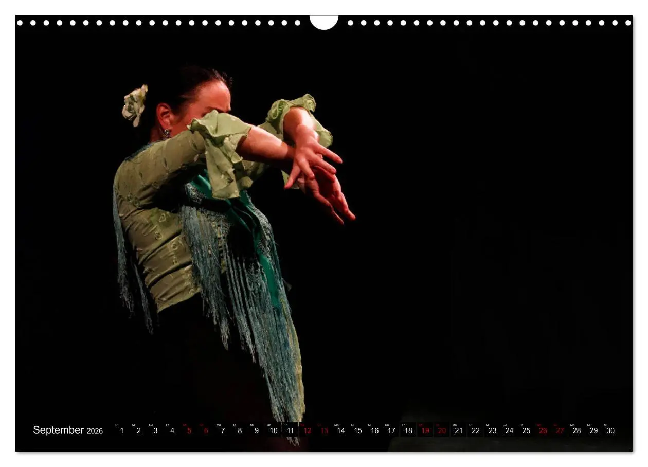 Bild: 9783457850855 | Flamenco. Spanischer Tanz (Wandkalender 2026 DIN A3 quer), CALVENDO...