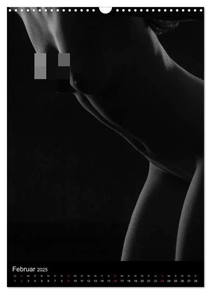 Bild: 9783457080955 | Erotische Silhouetten / CH-Version (Wandkalender 2025 DIN A3 hoch),...