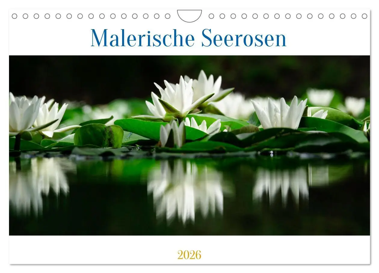 Cover: 9783457910955 | Malerische Seerosen (Wandkalender 2026 DIN A4 quer), CALVENDO...