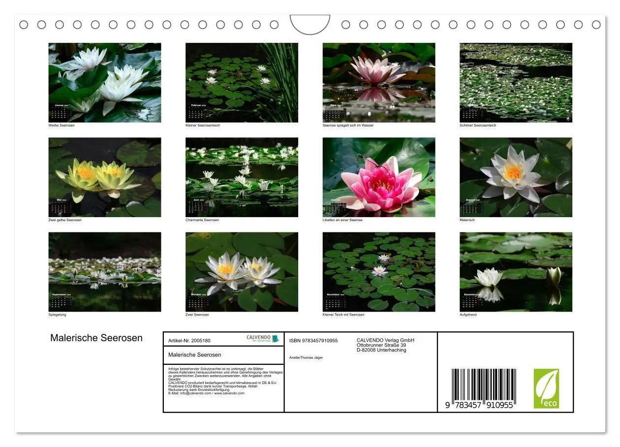 Bild: 9783457910955 | Malerische Seerosen (Wandkalender 2026 DIN A4 quer), CALVENDO...