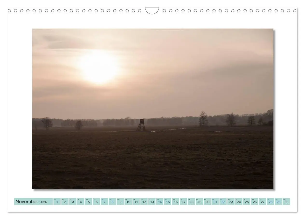 Bild: 9783516000955 | Augenblicke im Müritz Nationalpark (Wandkalender 2026 DIN A3 quer),...