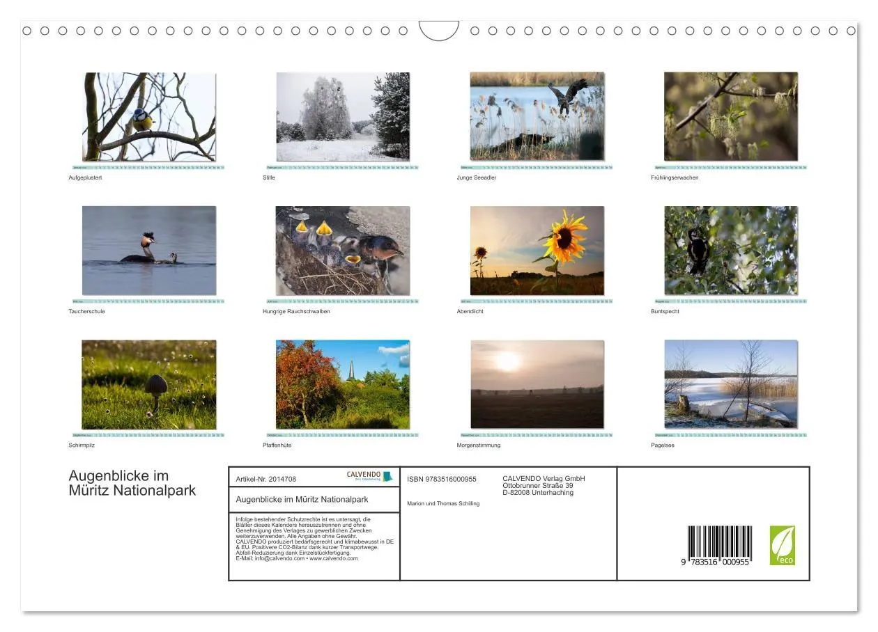 Bild: 9783516000955 | Augenblicke im Müritz Nationalpark (Wandkalender 2026 DIN A3 quer),...