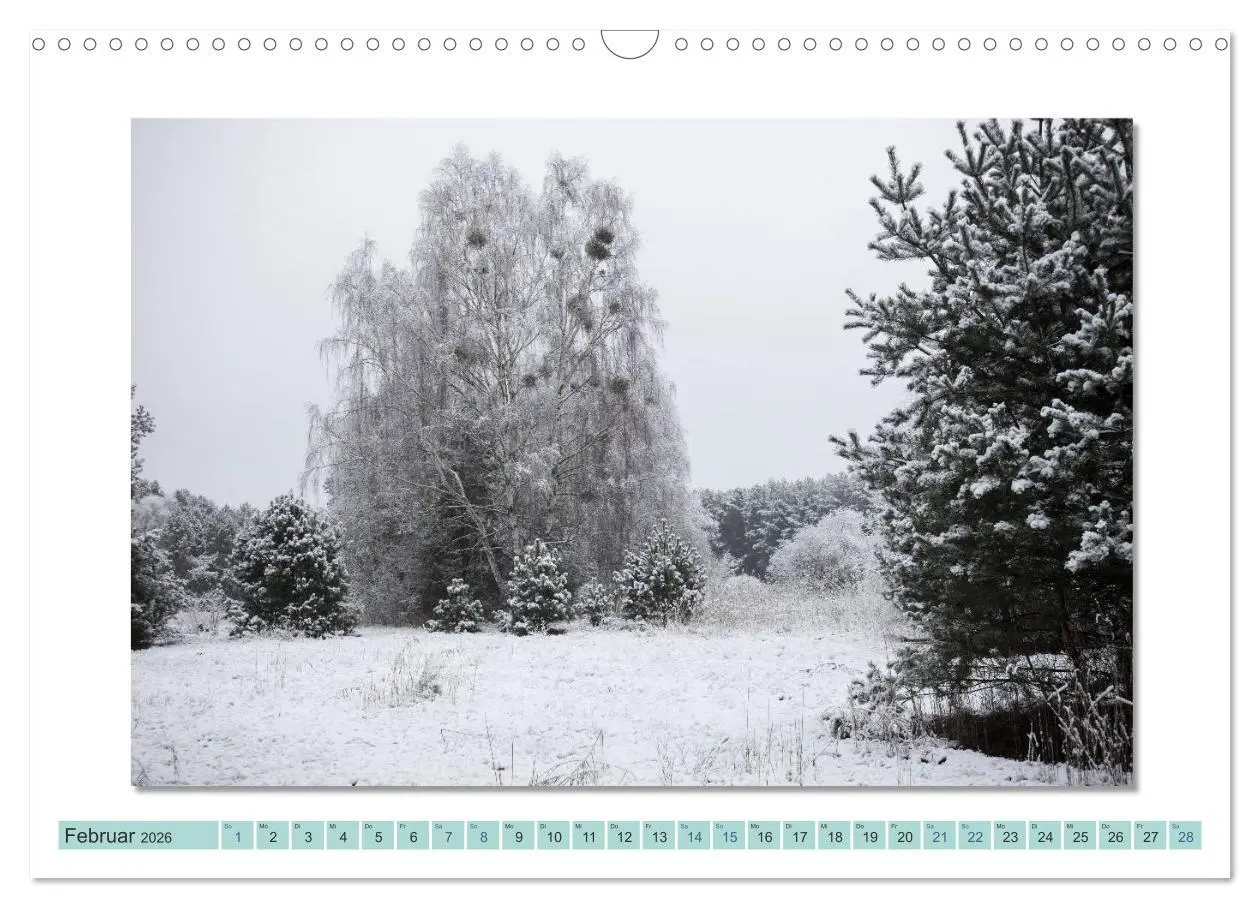 Bild: 9783516000955 | Augenblicke im Müritz Nationalpark (Wandkalender 2026 DIN A3 quer),...