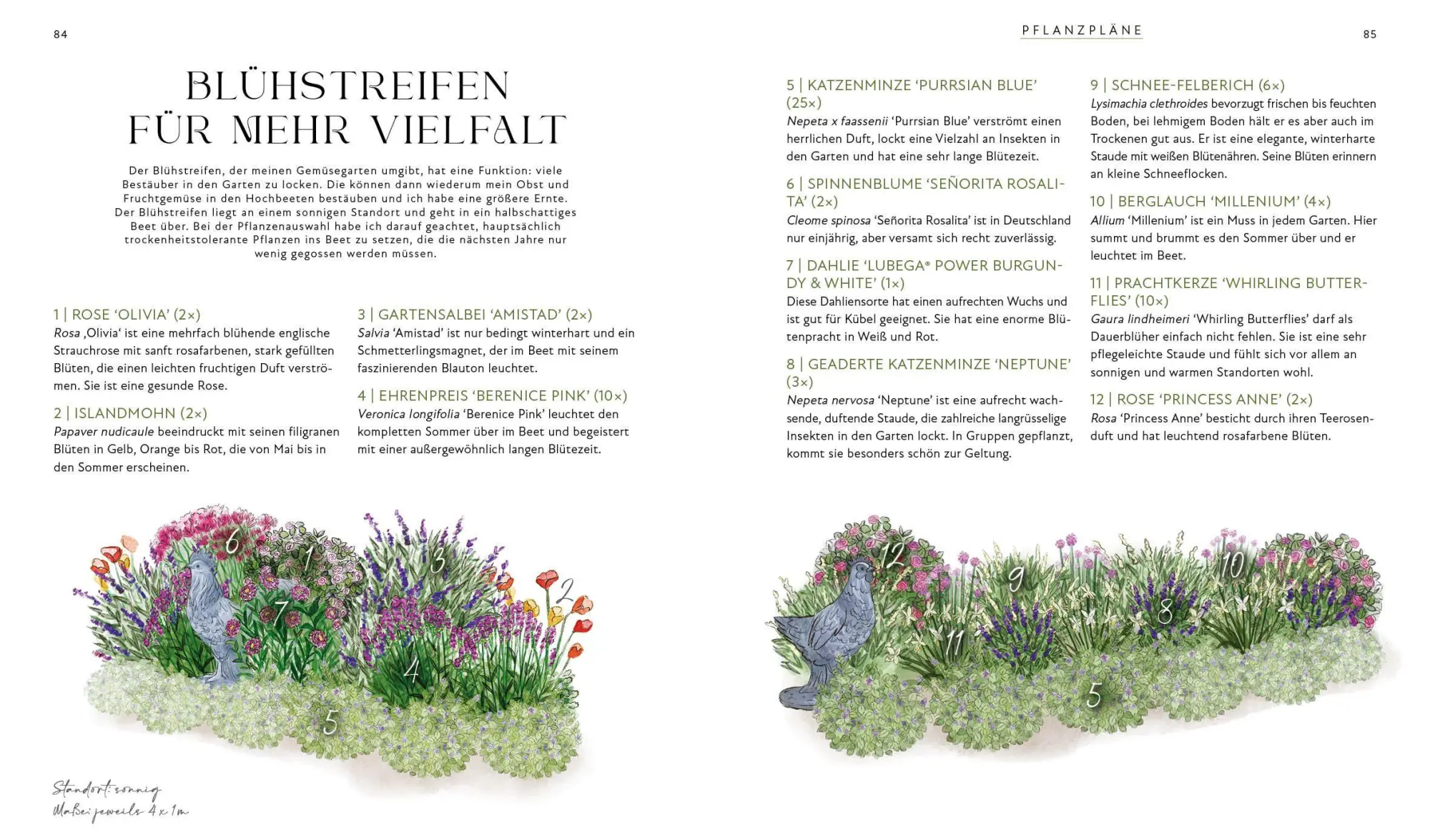 Bild: 9783745930955 | Blütenpracht und Ernteglück - Dein Weg zum Traumgarten | Svenja Breuer