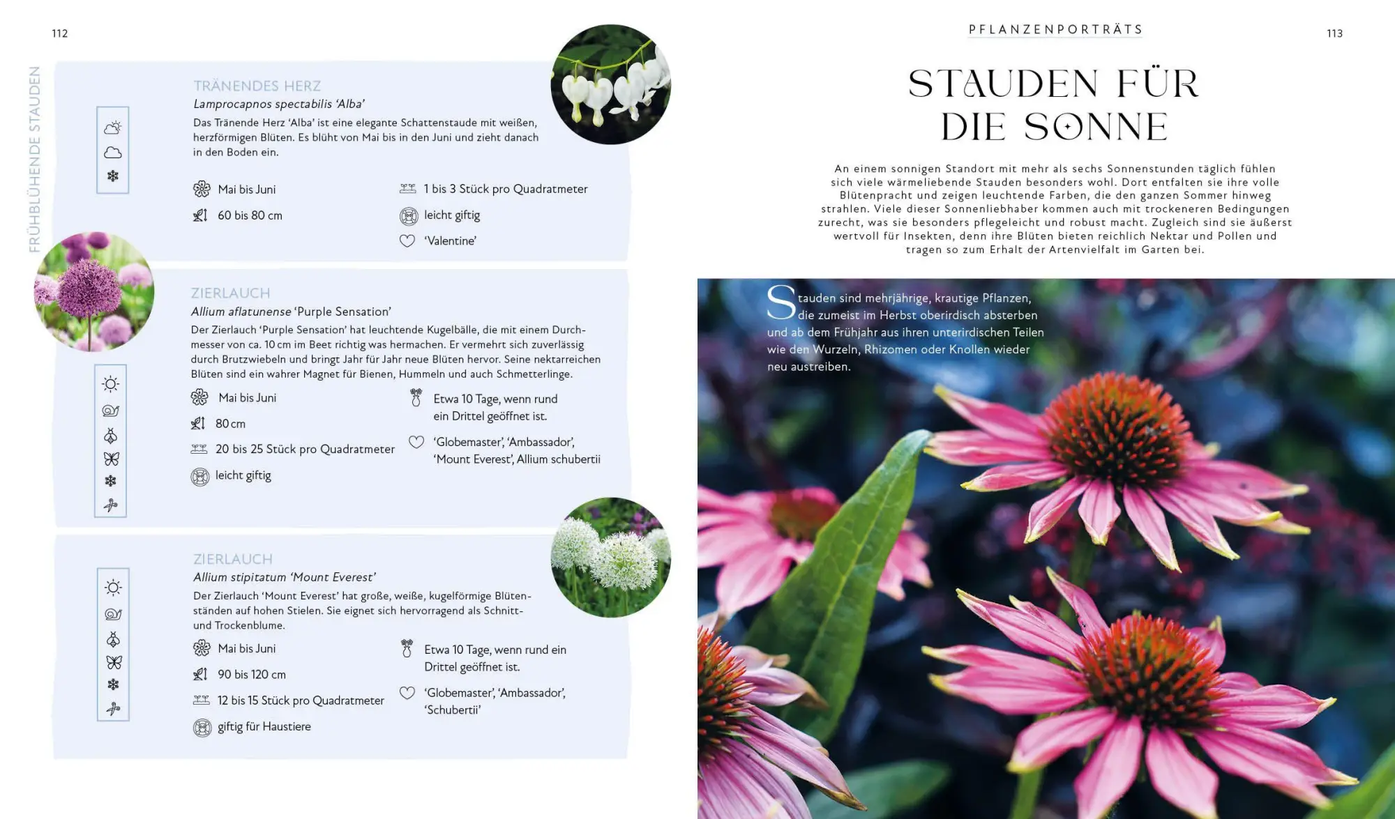 Bild: 9783745930955 | Blütenpracht und Ernteglück - Dein Weg zum Traumgarten | Svenja Breuer