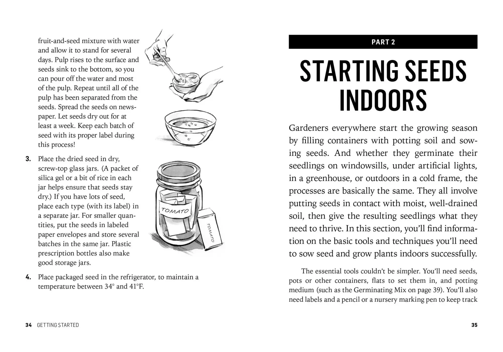 Bild: 9781612121055 | Starting Seeds | Barbara W. Ellis | Taschenbuch | Englisch | 2013