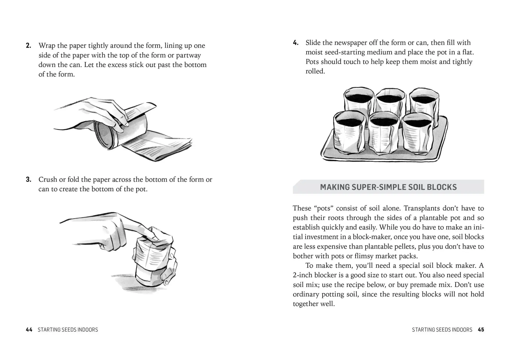 Bild: 9781612121055 | Starting Seeds | Barbara W. Ellis | Taschenbuch | Englisch | 2013