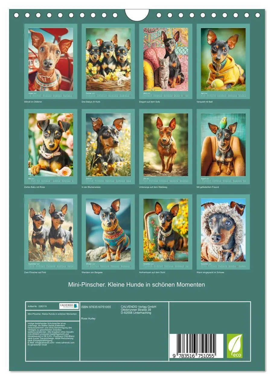 Bild: 9783516751055 | Mini-Pinscher. Kleine Hunde in schönen Momenten (Wandkalender 2027...