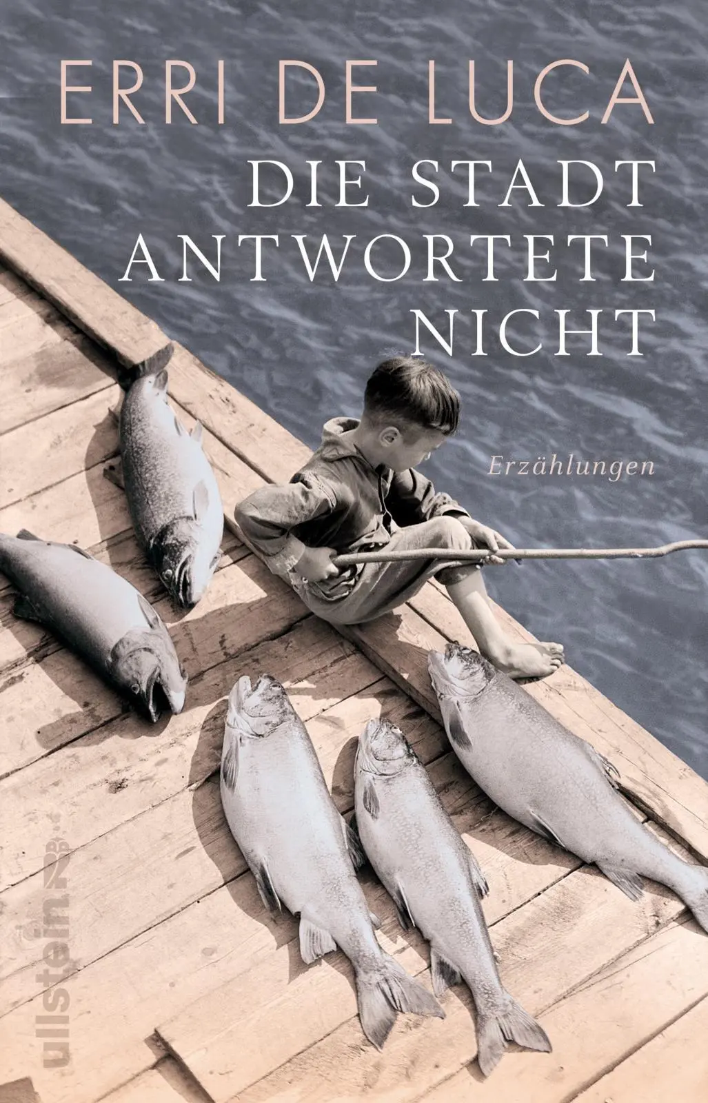 Cover: 9783548291055 | Die Stadt antwortete nicht | Erri de Luca | Taschenbuch | 144 S.