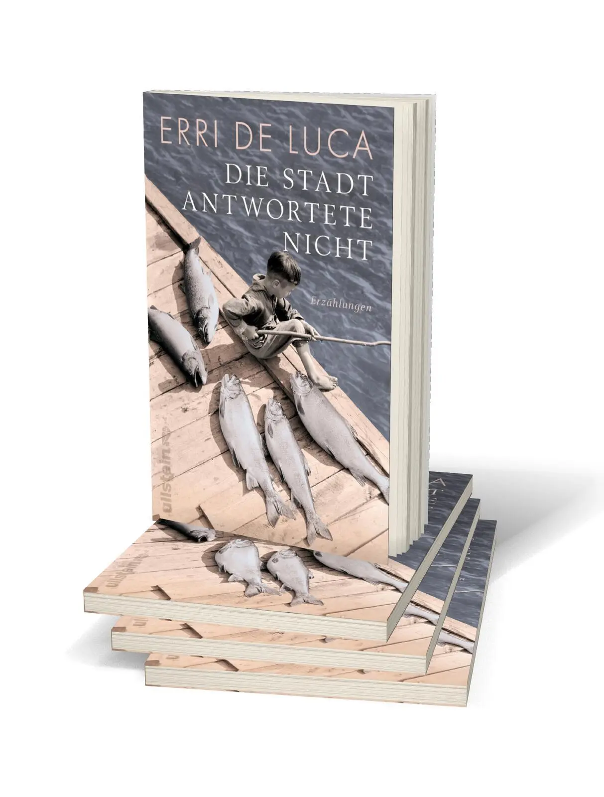 Bild: 9783548291055 | Die Stadt antwortete nicht | Erri de Luca | Taschenbuch | 144 S.