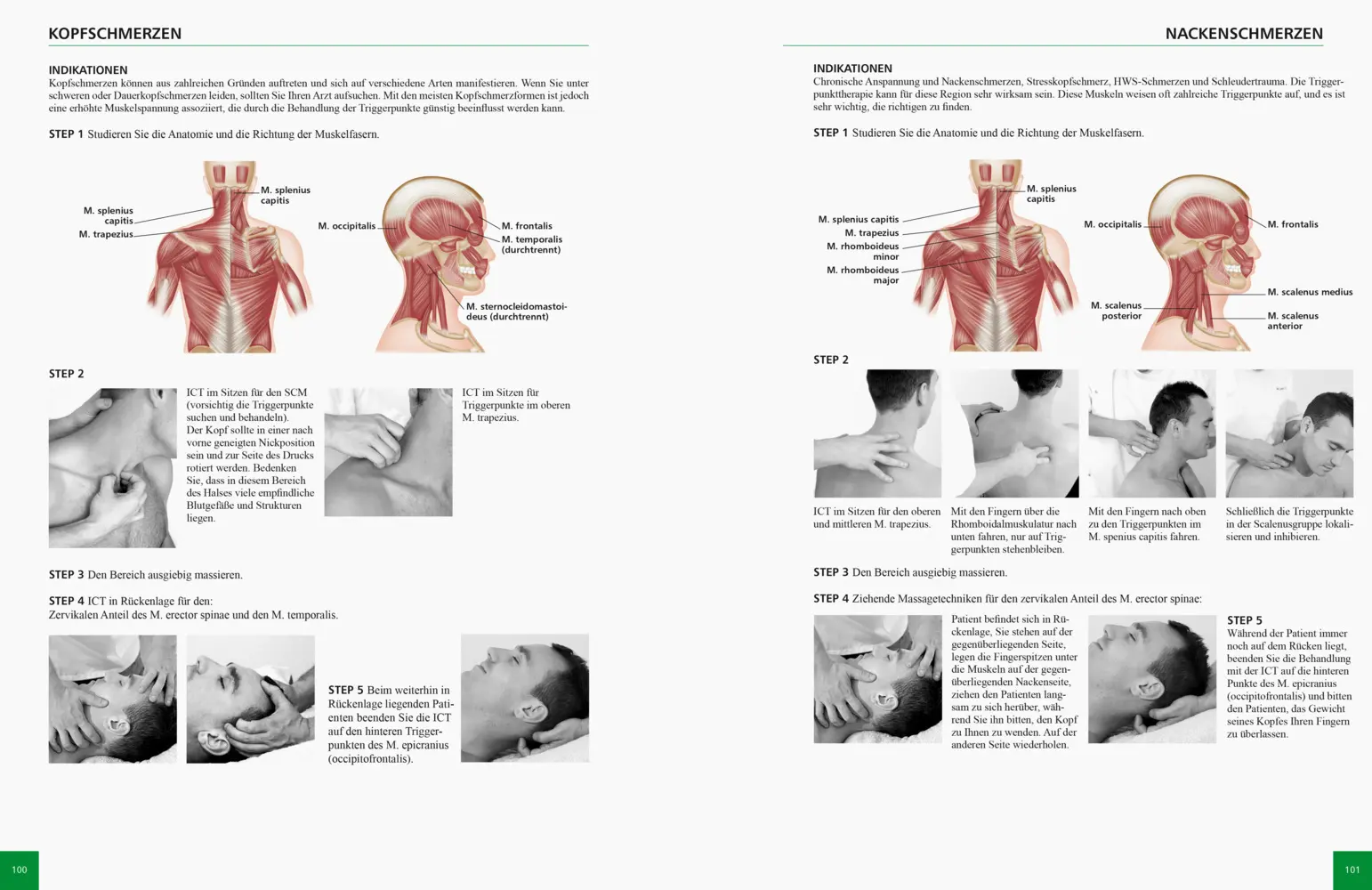 Bild: 9783767911055 | Referenzbuch Triggerpunkt Behandlung | Simeon Niel-Asher | Taschenbuch