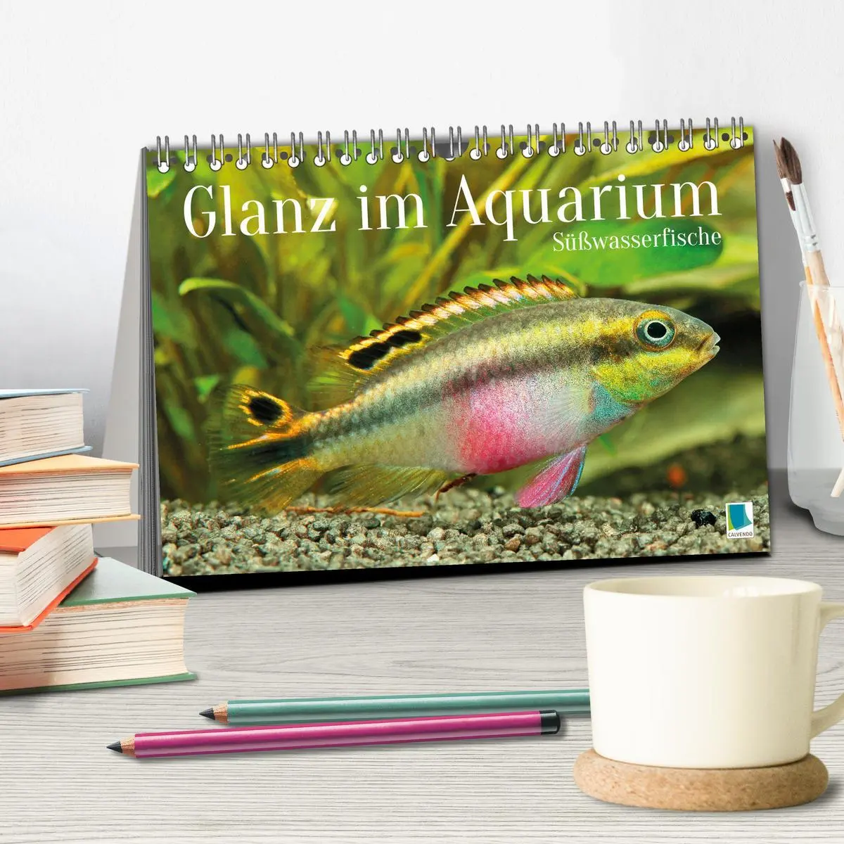 Bild: 9783457271155 | Glanz im Aquarium: Süßwasserfische (Tischkalender 2026 DIN A5...