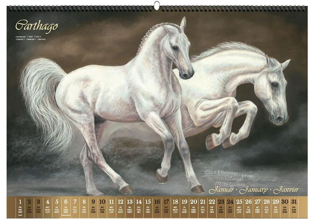 Bild: 9783949471155 | Vererberlegenden 2027 | Hengste der Warmblutzucht | Verlag | Kalender