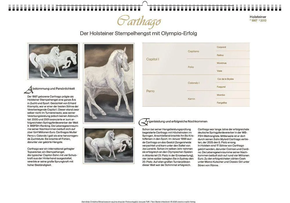 Bild: 9783949471155 | Vererberlegenden 2027 | Hengste der Warmblutzucht | Verlag | Kalender