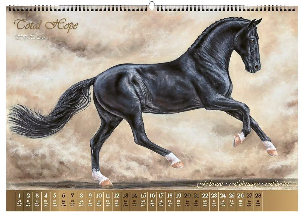 Bild: 9783949471155 | Vererberlegenden 2027 | Hengste der Warmblutzucht | Verlag | Kalender