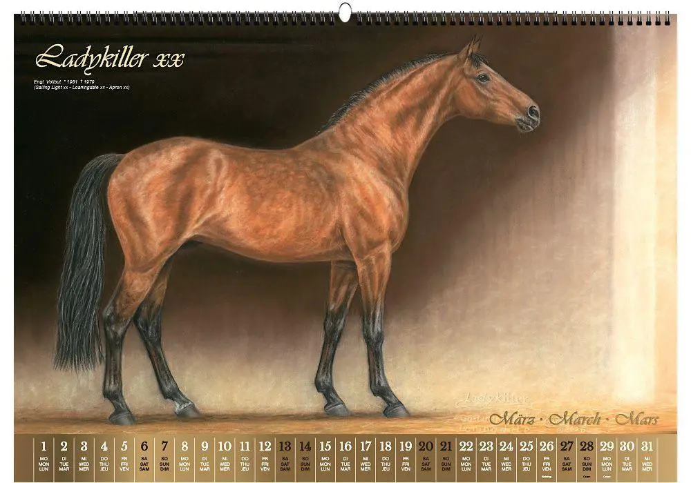 Bild: 9783949471155 | Vererberlegenden 2027 | Hengste der Warmblutzucht | Verlag | Kalender