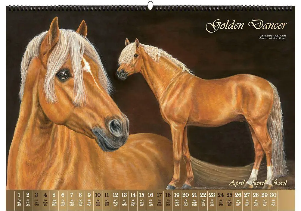 Bild: 9783949471155 | Vererberlegenden 2027 | Hengste der Warmblutzucht | Verlag | Kalender