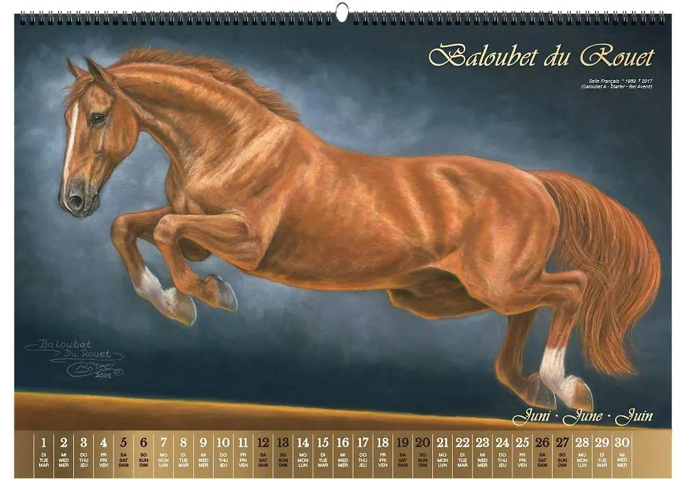 Bild: 9783949471155 | Vererberlegenden 2027 | Hengste der Warmblutzucht | Verlag | Kalender