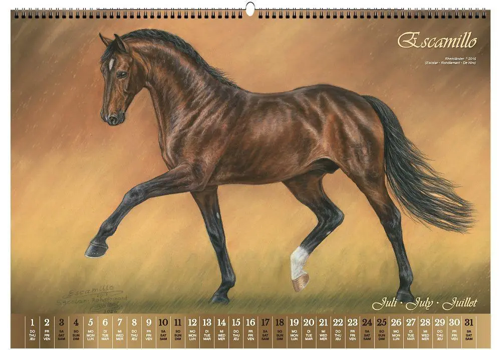 Bild: 9783949471155 | Vererberlegenden 2027 | Hengste der Warmblutzucht | Verlag | Kalender