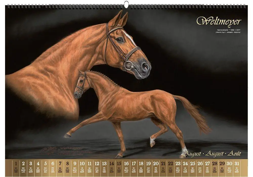 Bild: 9783949471155 | Vererberlegenden 2027 | Hengste der Warmblutzucht | Verlag | Kalender