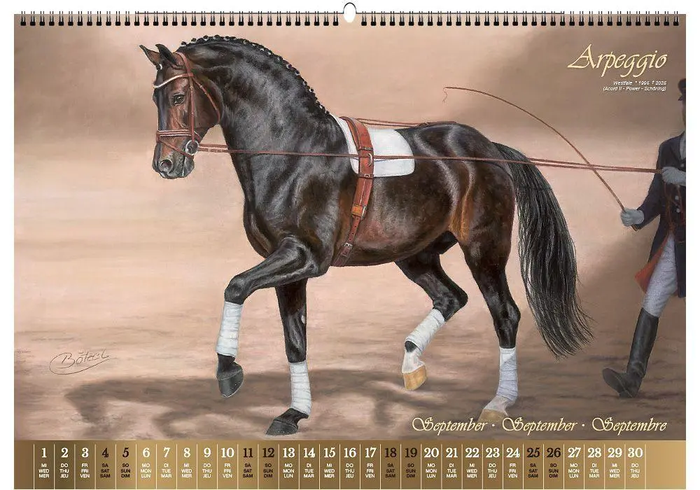 Bild: 9783949471155 | Vererberlegenden 2027 | Hengste der Warmblutzucht | Verlag | Kalender