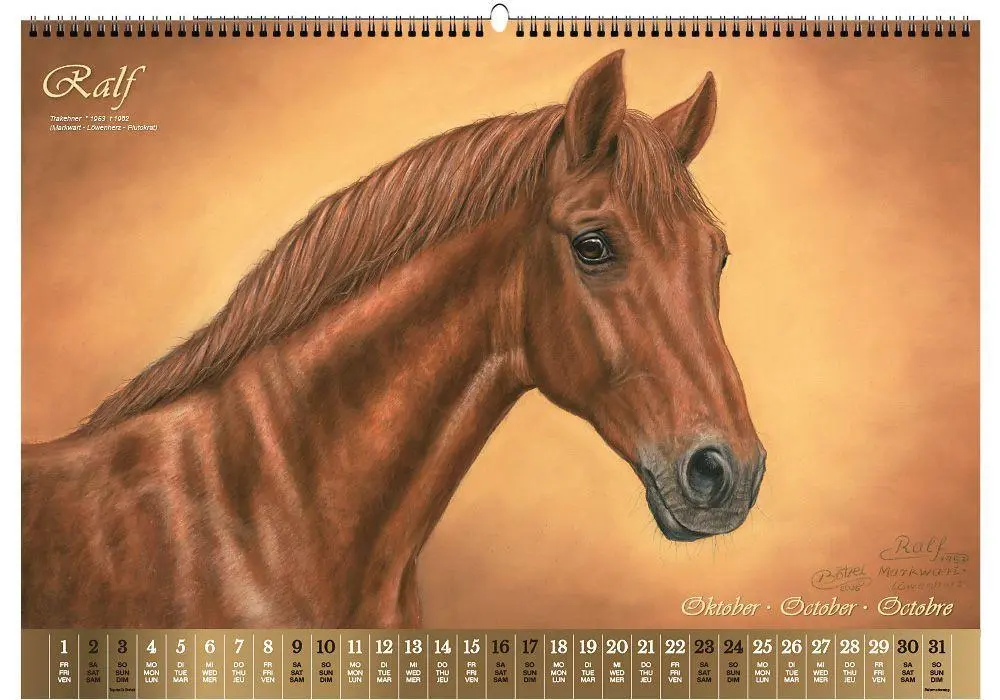 Bild: 9783949471155 | Vererberlegenden 2027 | Hengste der Warmblutzucht | Verlag | Kalender