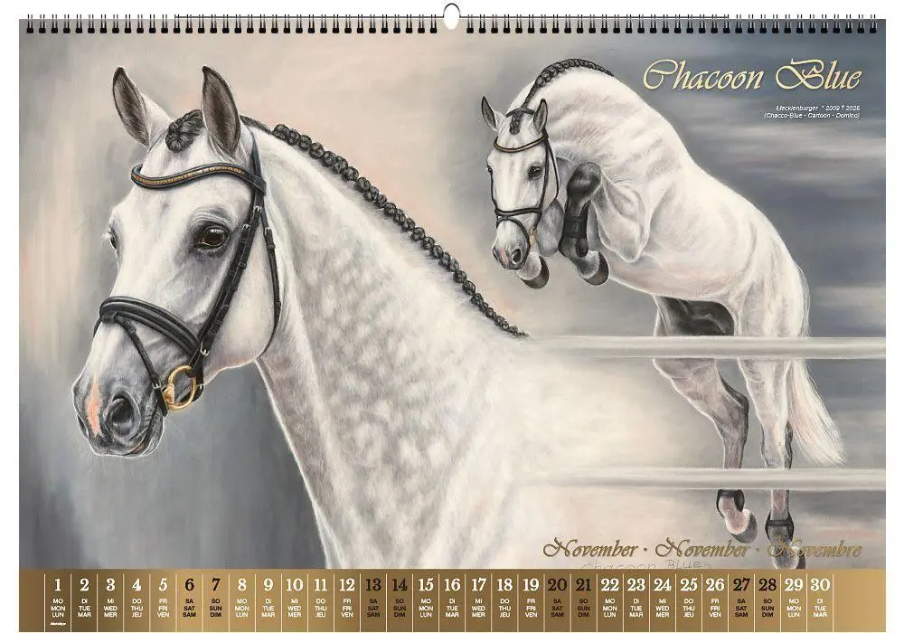 Bild: 9783949471155 | Vererberlegenden 2027 | Hengste der Warmblutzucht | Verlag | Kalender