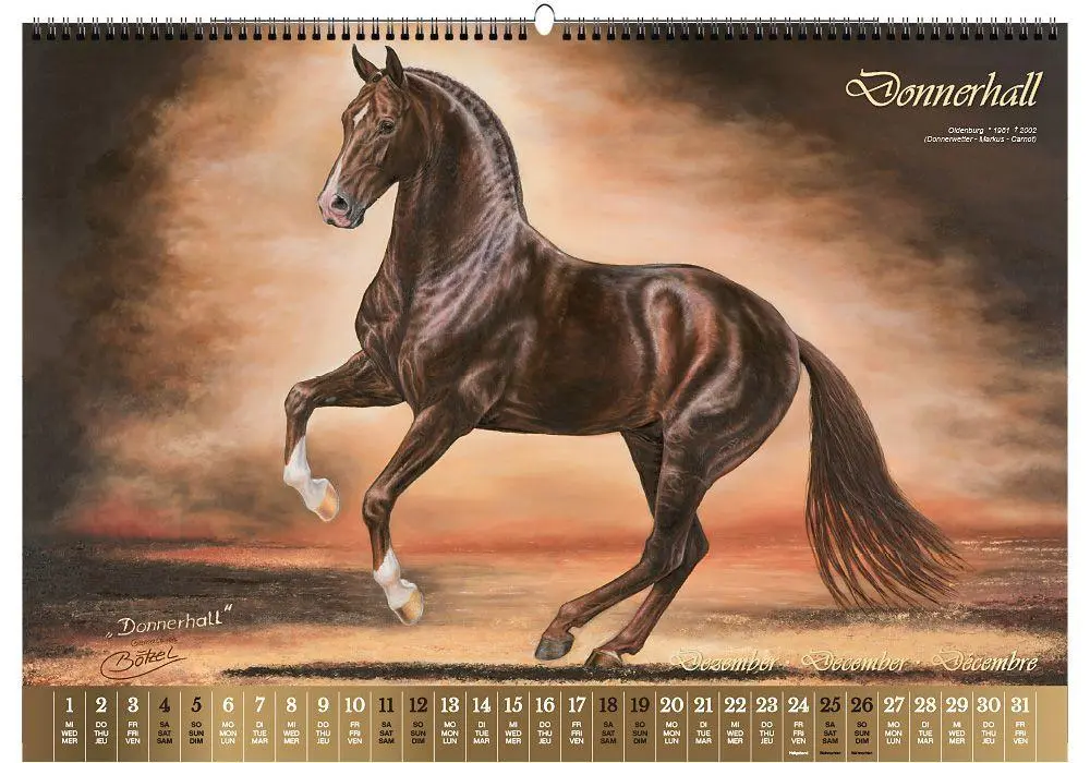 Bild: 9783949471155 | Vererberlegenden 2027 | Hengste der Warmblutzucht | Verlag | Kalender