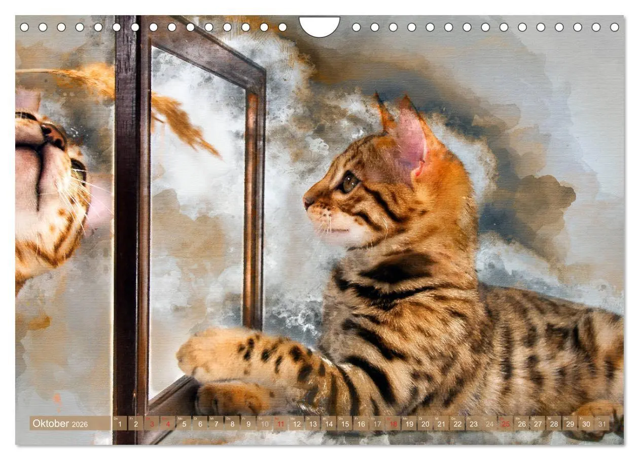 Bild: 9783457881255 | Katzenkalender mausgemalt (Wandkalender 2026 DIN A4 quer), CALVENDO...