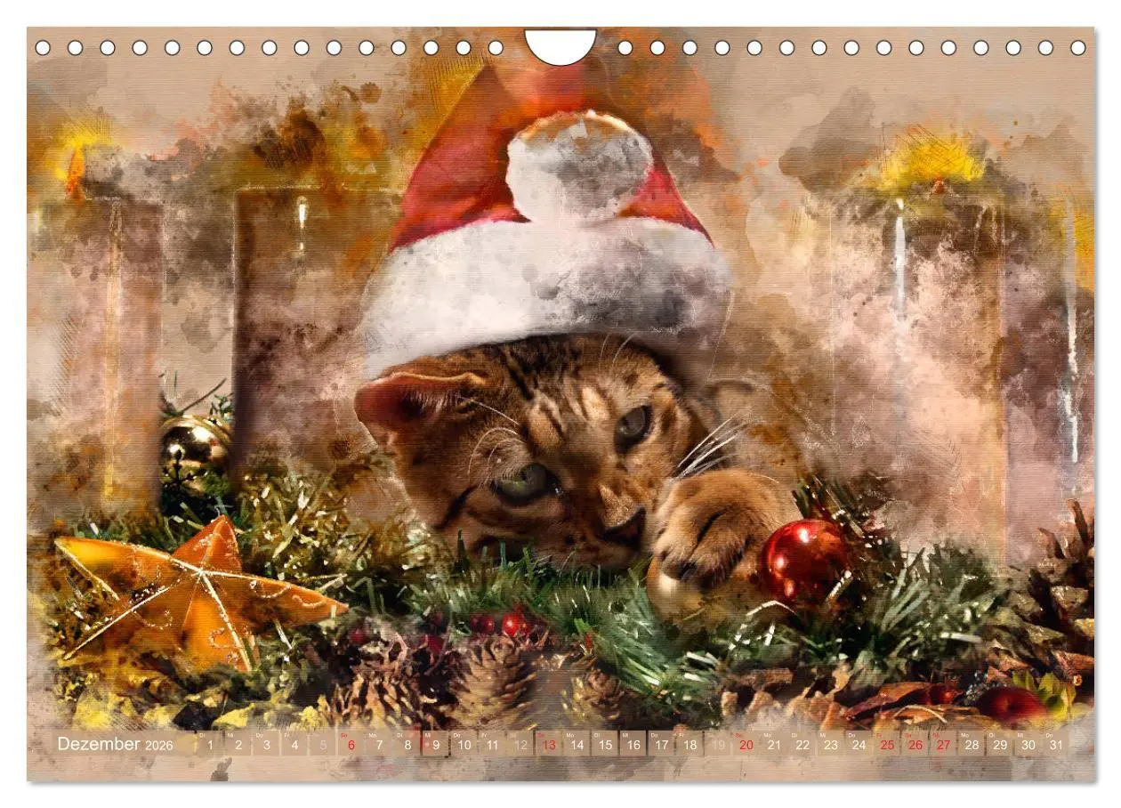 Bild: 9783457881255 | Katzenkalender mausgemalt (Wandkalender 2026 DIN A4 quer), CALVENDO...