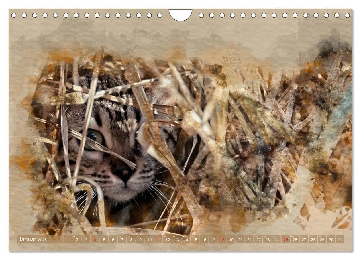 Bild: 9783457881255 | Katzenkalender mausgemalt (Wandkalender 2026 DIN A4 quer), CALVENDO...