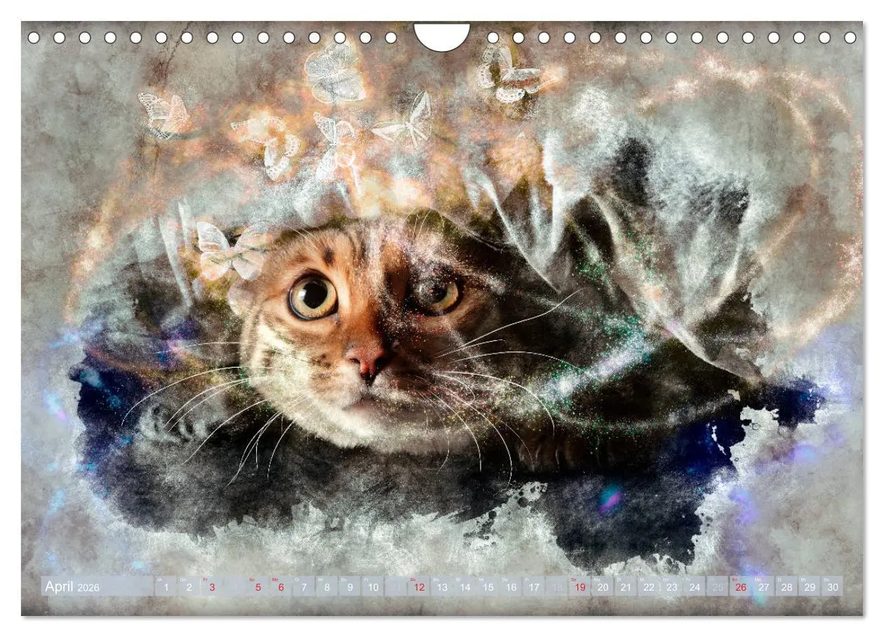 Bild: 9783457881255 | Katzenkalender mausgemalt (Wandkalender 2026 DIN A4 quer), CALVENDO...