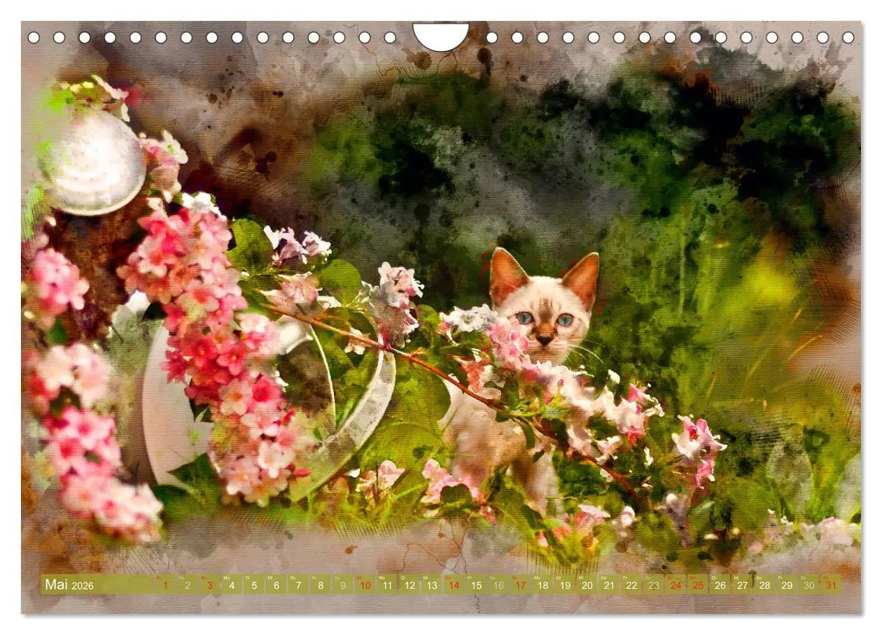 Bild: 9783457881255 | Katzenkalender mausgemalt (Wandkalender 2026 DIN A4 quer), CALVENDO...
