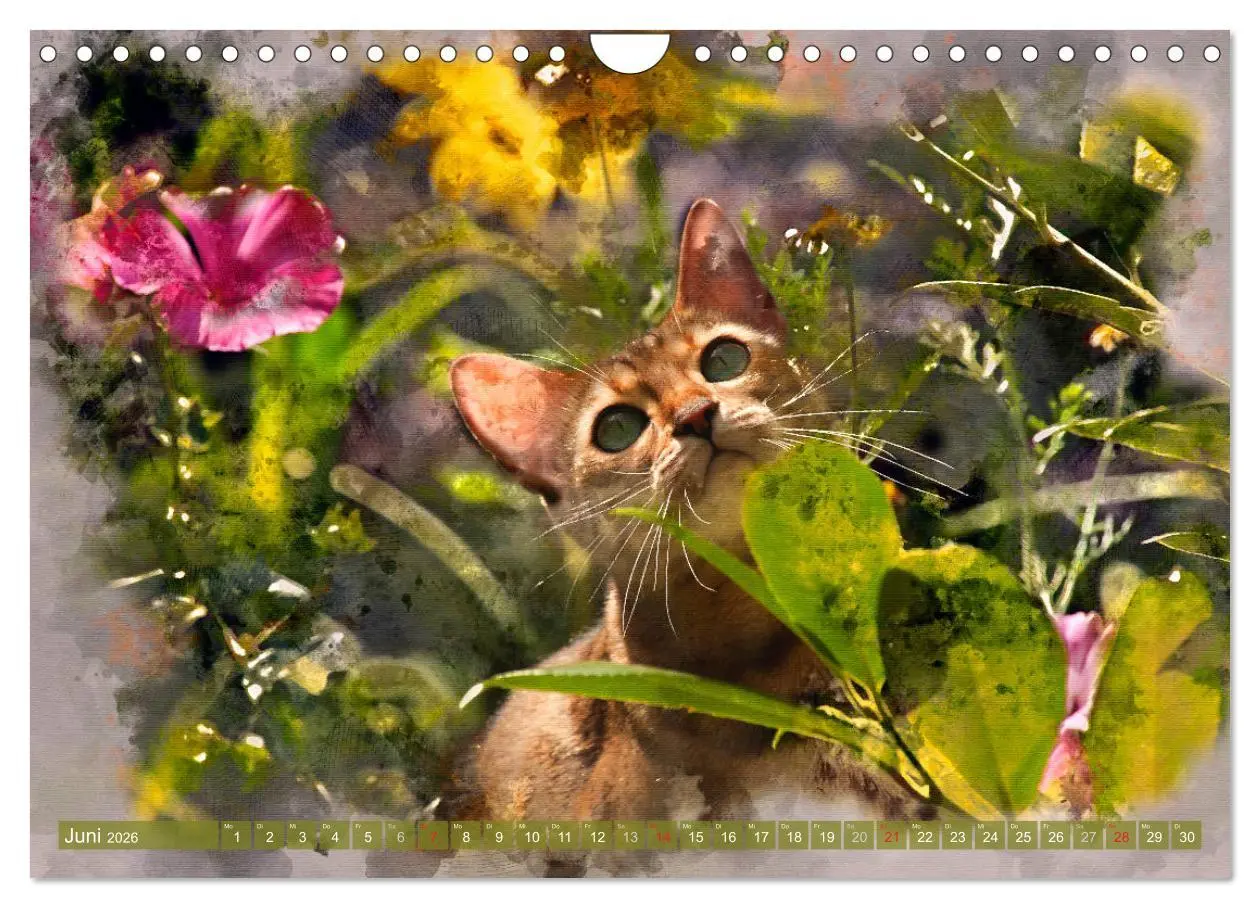 Bild: 9783457881255 | Katzenkalender mausgemalt (Wandkalender 2026 DIN A4 quer), CALVENDO...
