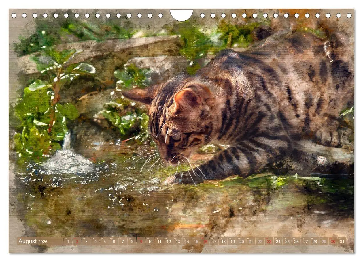 Bild: 9783457881255 | Katzenkalender mausgemalt (Wandkalender 2026 DIN A4 quer), CALVENDO...
