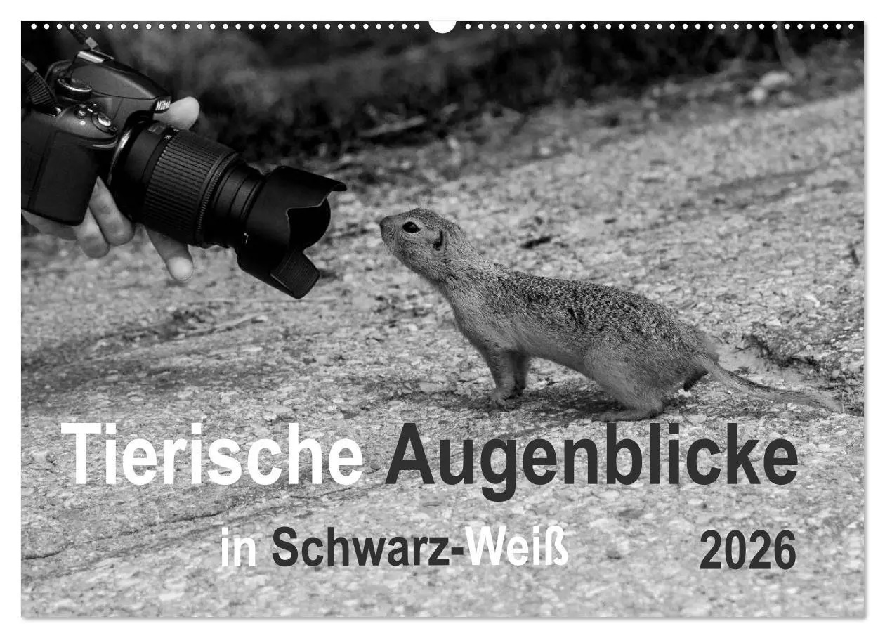 Cover: 9783457951255 | Tierische Augenblicke in Schwarz-Weiß (Wandkalender 2026 DIN A2...