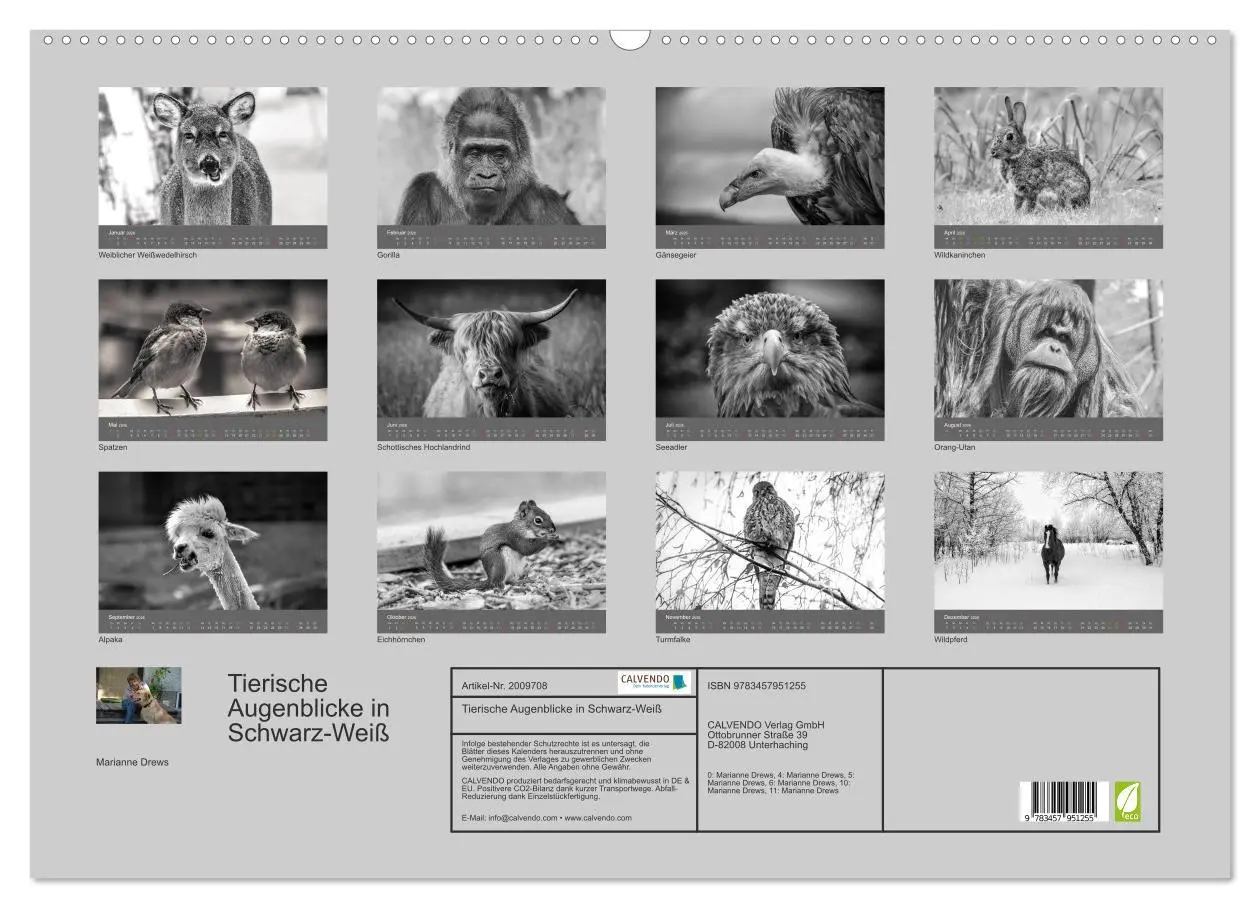 Bild: 9783457951255 | Tierische Augenblicke in Schwarz-Weiß (Wandkalender 2026 DIN A2...