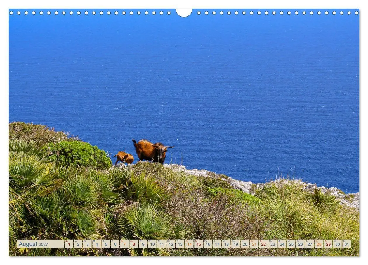 Bild: 9783569201255 | Tramuntana Trekking - Wandern auf Mallorca (Wandkalender 2027 DIN...