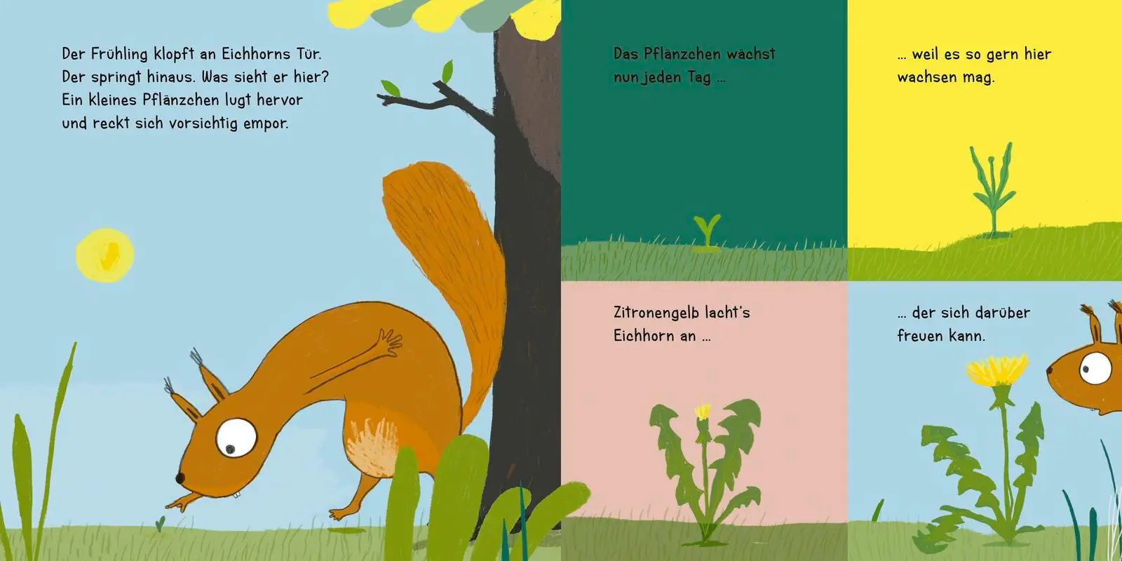 Bild: 9783737361255 | Eine Pusteblume für dich! | Regina Schwarz | Buch | Eichhorn-Reihe