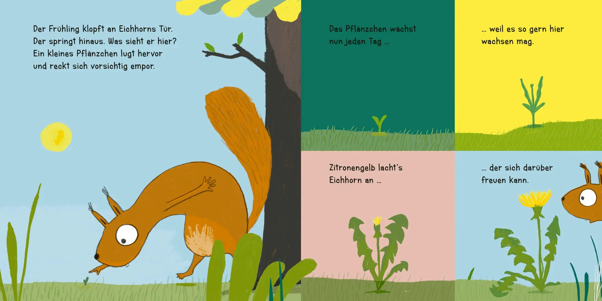Bild: 9783737361255 | Eine Pusteblume für dich! | Regina Schwarz | Buch | Eichhorn-Reihe
