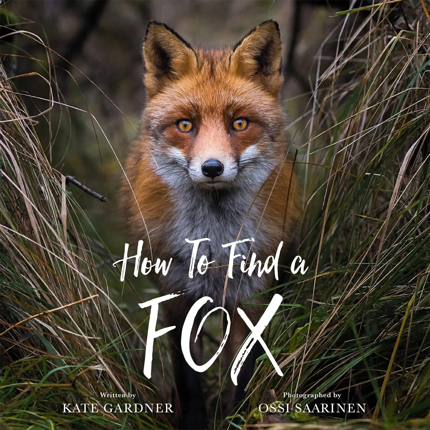 Cover: 9780762471355 | How to Find a Fox | Kate Gardner | Buch | Gebunden | Englisch | 2021