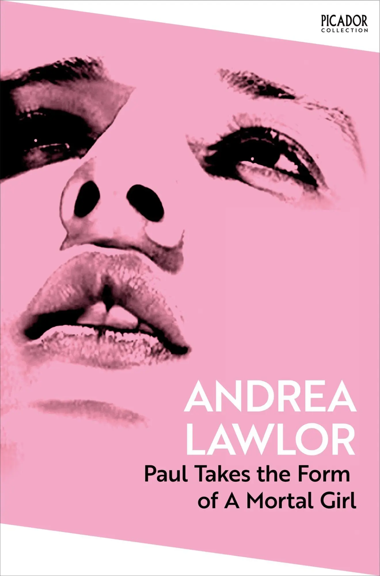 Cover: 9781035091355 | Paul Takes the Form of A Mortal Girl | Andrea Lawlor | Taschenbuch